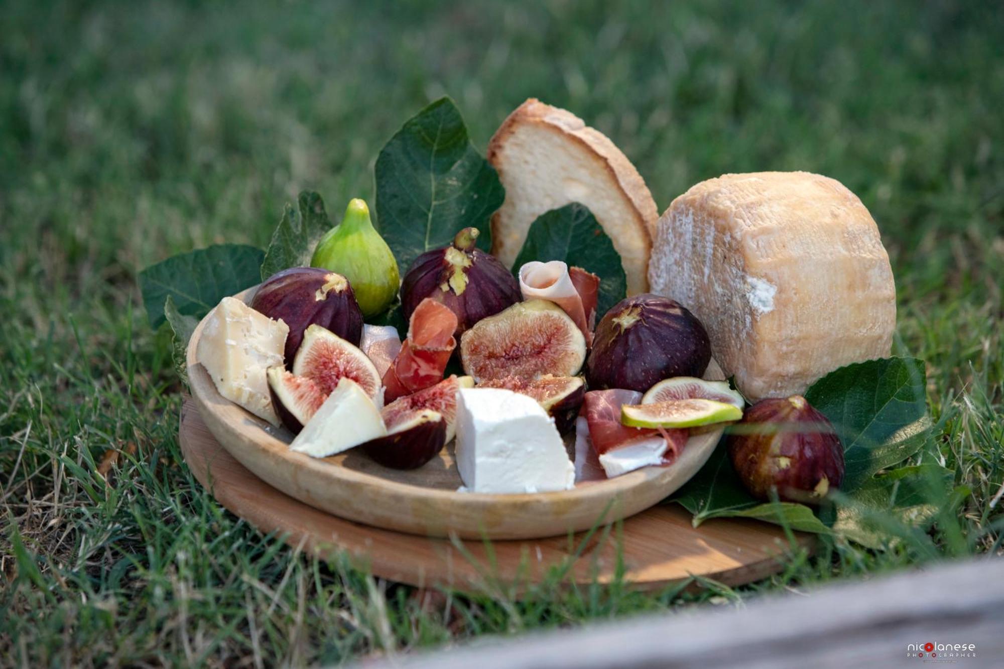Agriturismo Terra E Sapori Campodipietra ภายนอก รูปภาพ