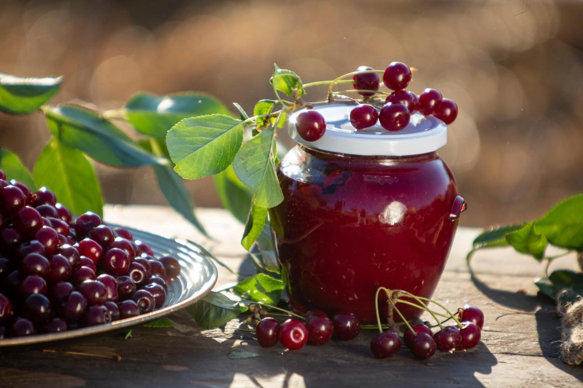 Agriturismo Terra E Sapori Campodipietra ภายนอก รูปภาพ