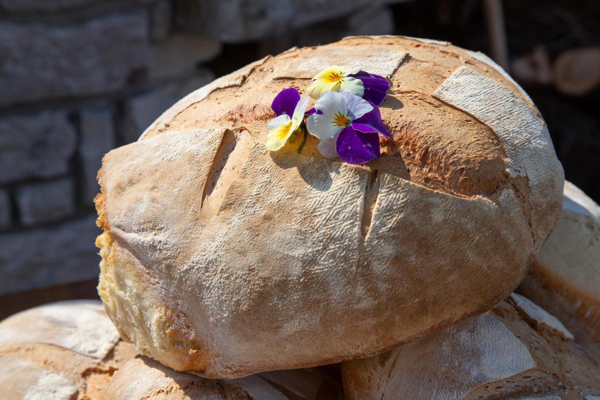 Agriturismo Terra E Sapori Campodipietra ภายนอก รูปภาพ
