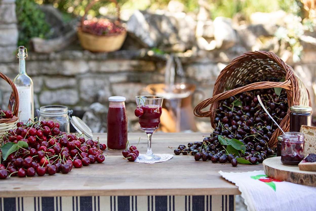Agriturismo Terra E Sapori Campodipietra ภายนอก รูปภาพ
