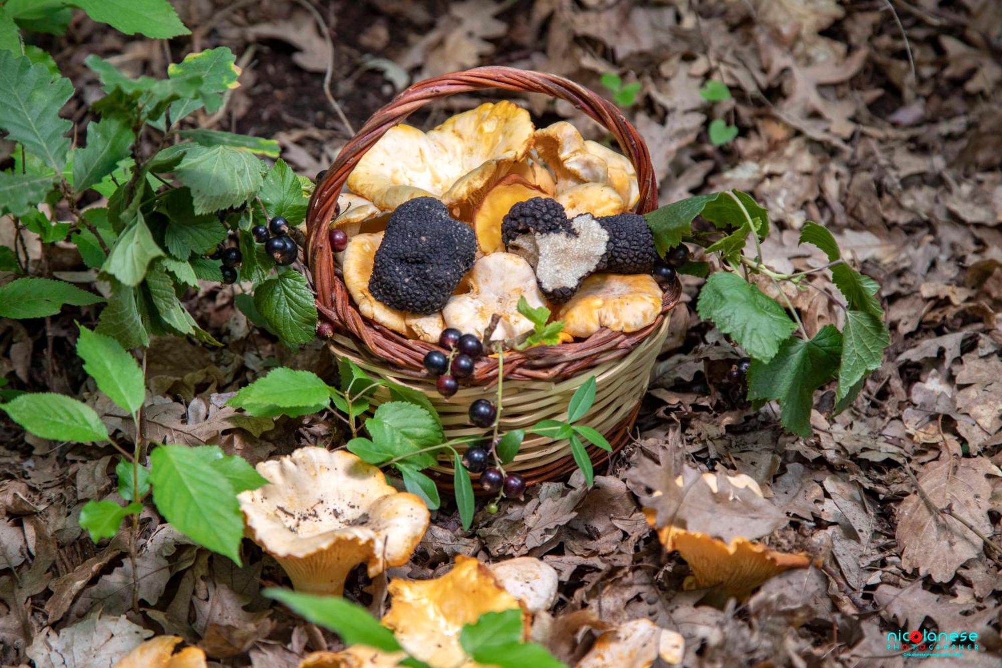 Agriturismo Terra E Sapori Campodipietra ภายนอก รูปภาพ