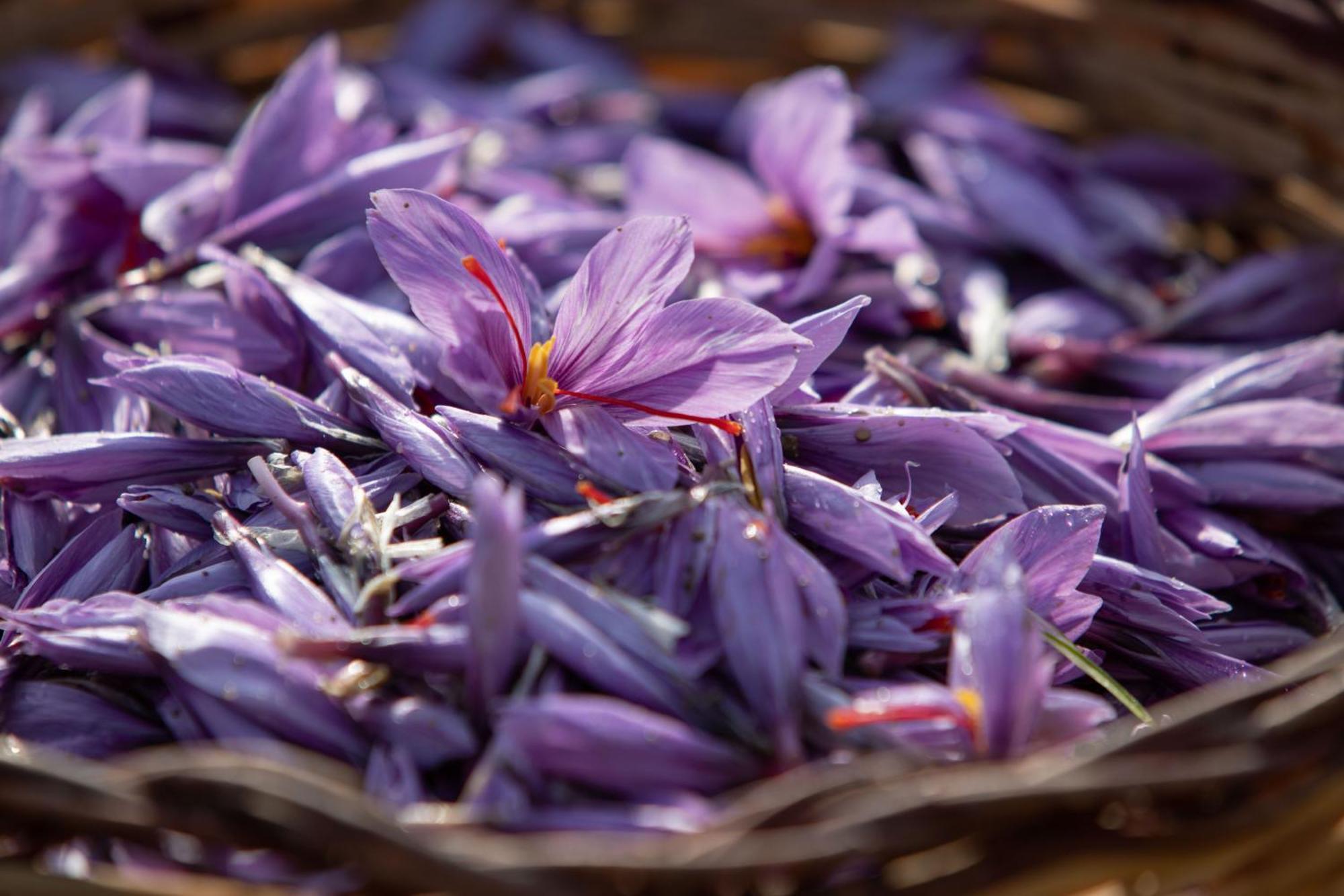Agriturismo Terra E Sapori Campodipietra ภายนอก รูปภาพ