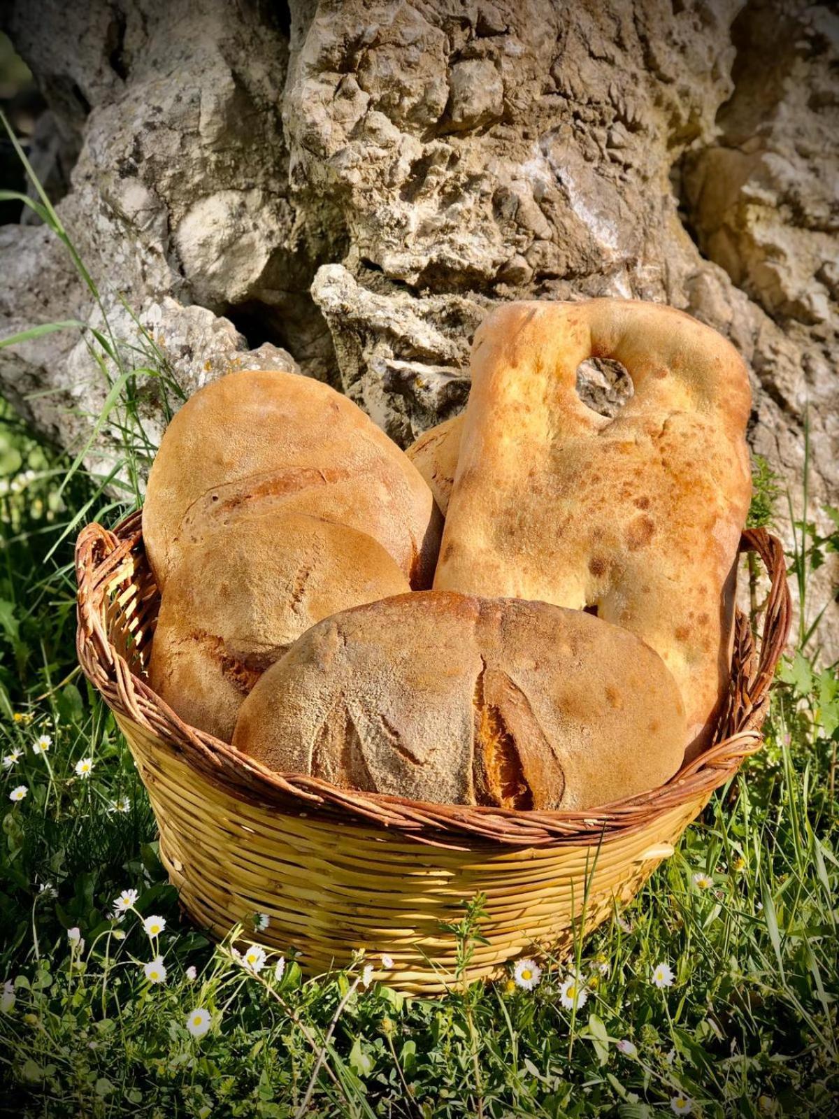 Agriturismo Terra E Sapori Campodipietra ภายนอก รูปภาพ