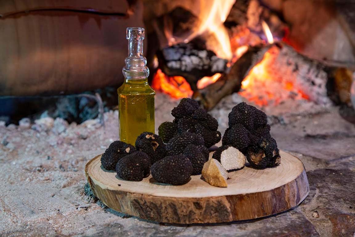 Agriturismo Terra E Sapori Campodipietra ภายนอก รูปภาพ